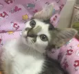 SOL
