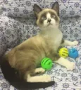 BILBO