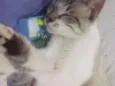 Oliver