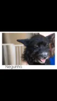 Neguinha
