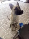 Bob