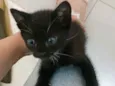 Kira 