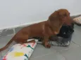 Beto