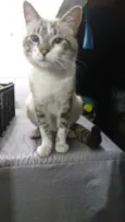 Ed