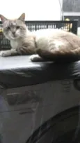 Ed