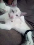 Nina 