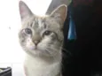 Ed