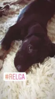 Relga