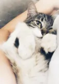 Chéri