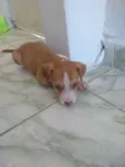 Mia