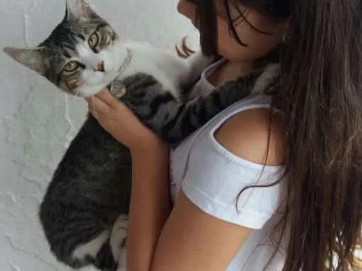 Gato ra a srd idade 2 a 6 meses nome Duke