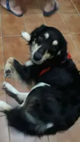 Não sei ??