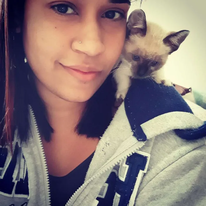 Gato ra a Srd idade 2 a 6 meses nome Thomas
