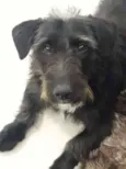 bruce
