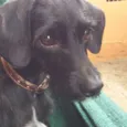 Lalita