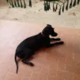 Lalita