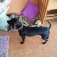 Lalita