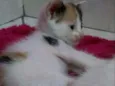 Ainda não tem