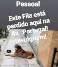 Sem nome