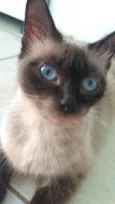 Mel
