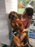 Marley