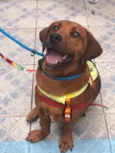 Marley