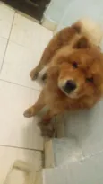 Ralf