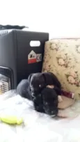 Leco e Kika
