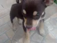 Lola