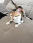 Sophia