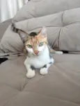 Sophia