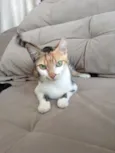 Sophia