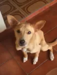 Bento