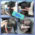 Lise e Billy