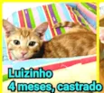 Luizinho e Huguinho 