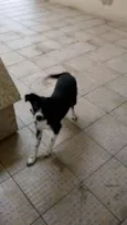 Princesa