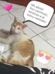 Théo