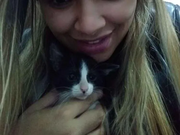Gato ra a Misturado idade Abaixo de 2 meses nome Frajolinhas