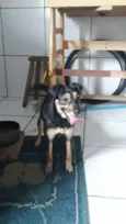 LALA
