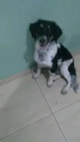Nica 6 meses