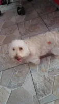tita