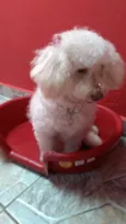 tita
