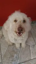 tita