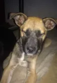 Spike