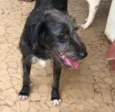 Jack