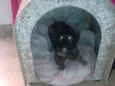 Lolita