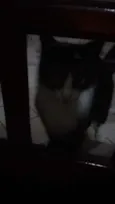 Mag