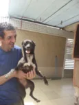 CABRITA
