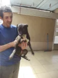 CABRITA