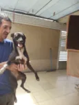 CABRITA